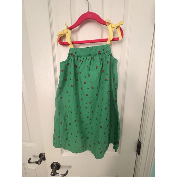 Hanna Andersson Other - Hanna Andersson Green Tulip & Bee Shift Dress Girl's Size 120